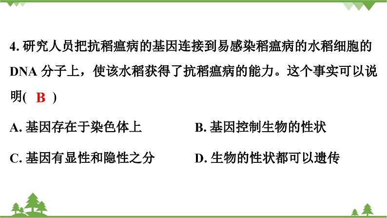 人教版生物八年级下册 第7单元 第2章测试卷课件PPT05