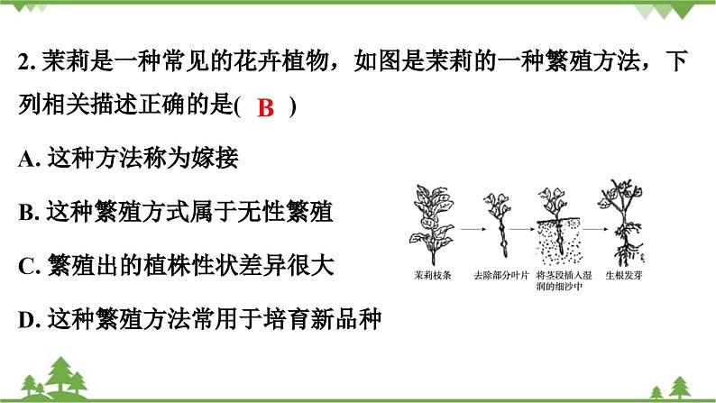 人教版生物八年级下册 期末测试卷(1)课件PPT第3页