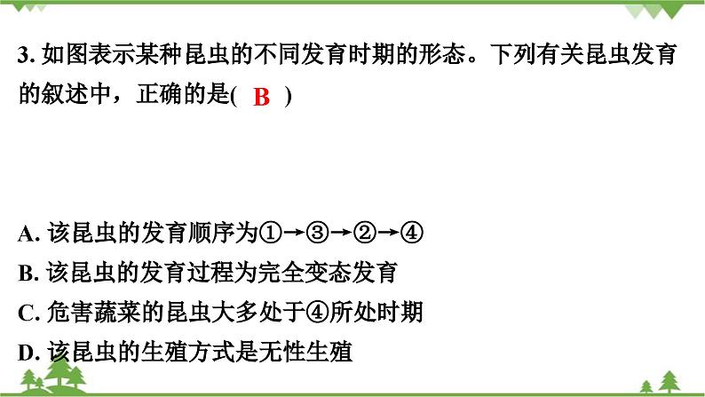 人教版生物八年级下册 期末测试卷(1)课件PPT第4页