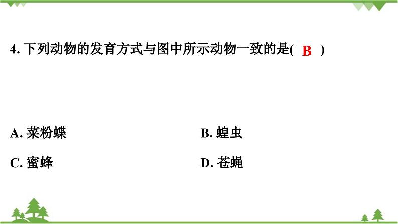 人教版生物八年级下册 期末测试卷(1)课件PPT第5页