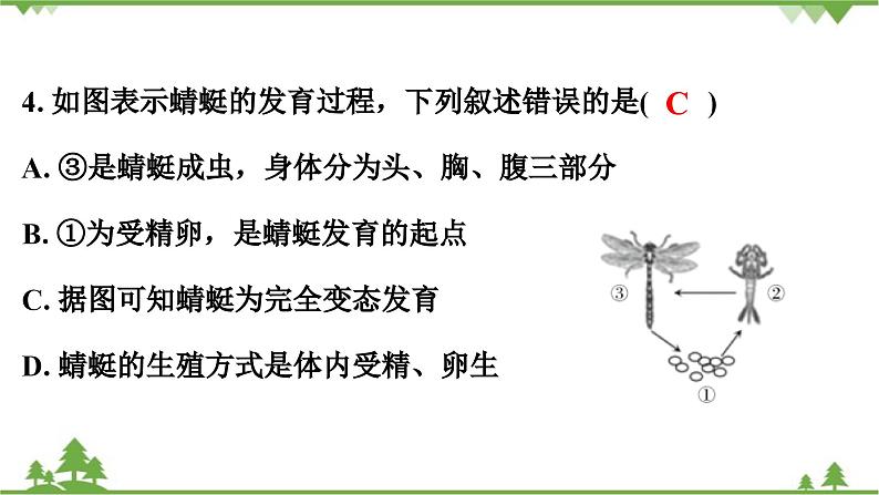 人教版生物八年级下册 期末测试卷(2)课件PPT第5页