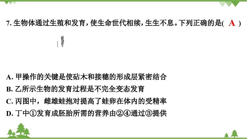 人教版生物八年级下册 期末测试卷(2)课件PPT第8页