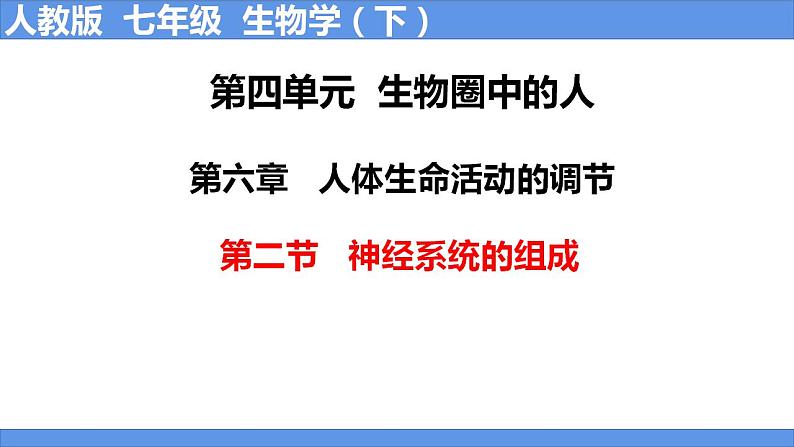 人教版生物七年级下册 4.6.2 神经系统的组成 同步课件第1页
