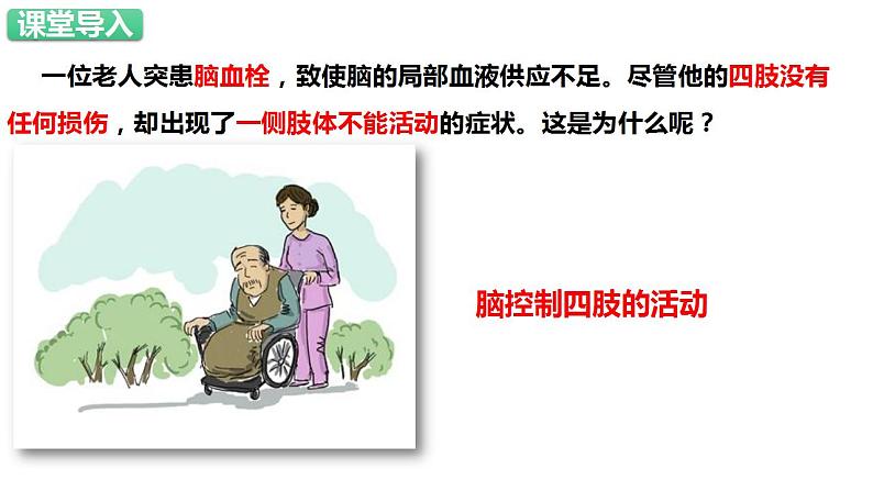人教版生物七年级下册 4.6.2 神经系统的组成 同步课件第2页