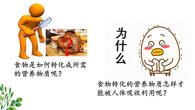 8.2+食物的消化和营养物质的吸收课件2023--2024学年北师大版生物七年级下册第3页