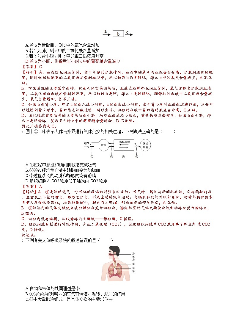 专题04 生物圈中的人(二)人的生活需要空气(解析版)第2页