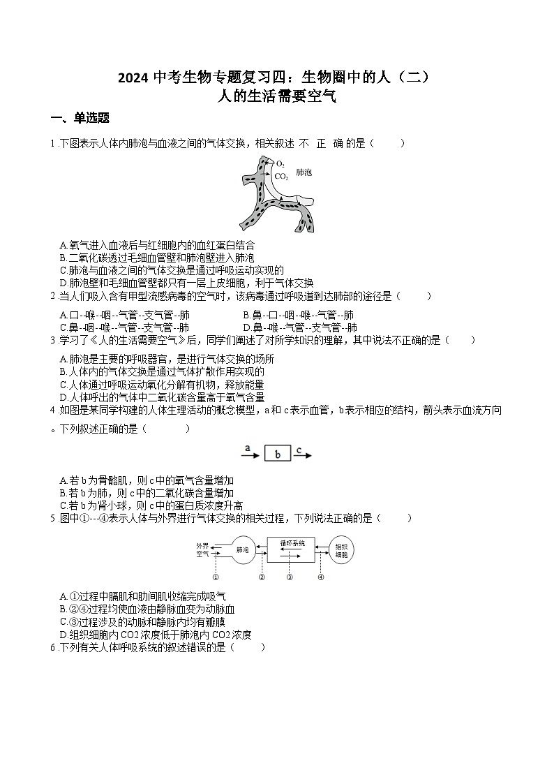专题04 生物圈中的人(二)人的生活需要空气(原卷版)第1页