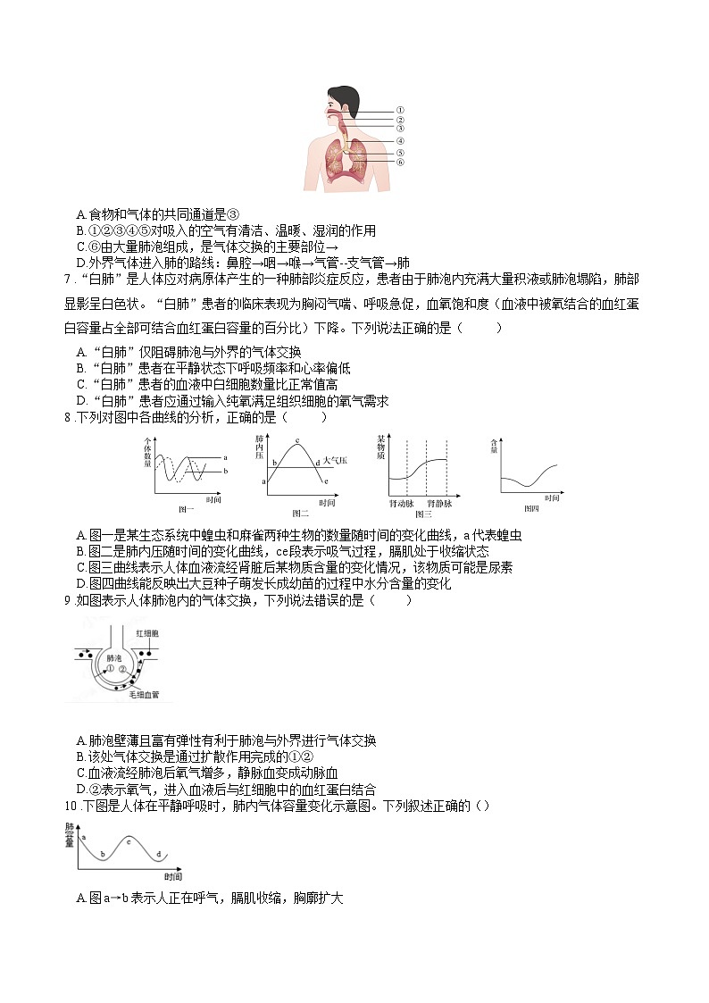 专题04 生物圈中的人(二)人的生活需要空气(原卷版)第2页