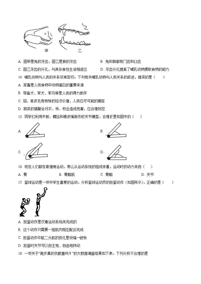 精品解析:陕西省咸阳市永寿县甘井中学2023-2024学年八年级上学期期中生物试题(原卷版)第3页