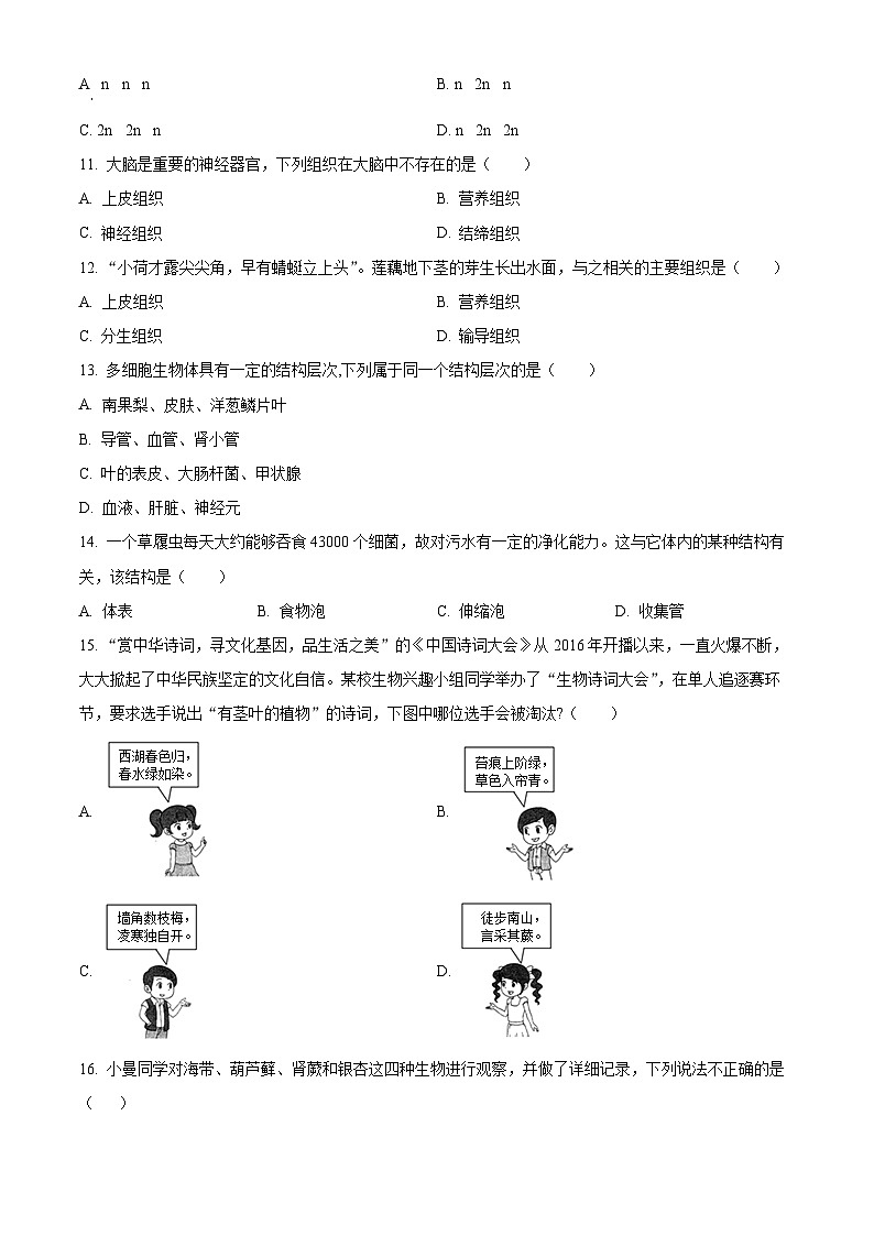 精品解析:湖南省邵阳市武冈市2023-2024学年七年级上学期期末生物试题(原卷版)第3页