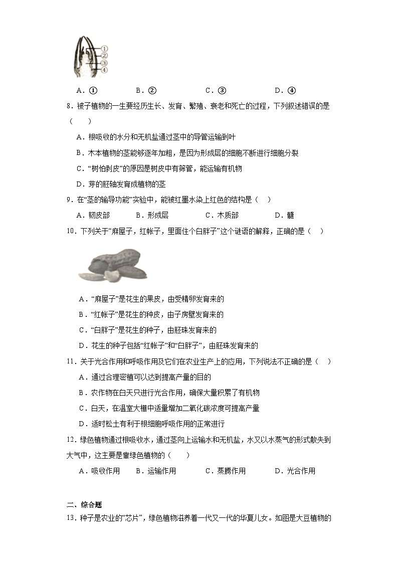 辽宁省沈阳市浑南区2023-2024学年七年级上学期期末生物试题(含答案)02