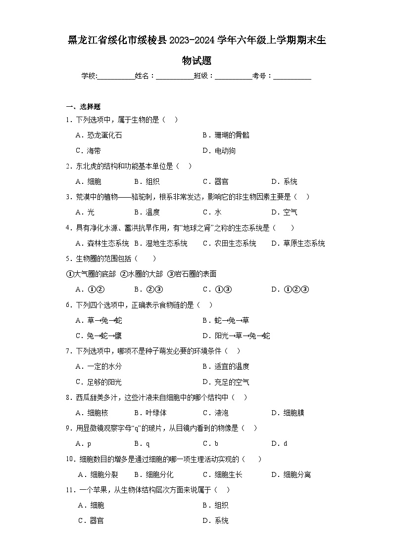 黑龙江省绥化市绥棱县2023-2024学年六年级上学期期末生物试题(含答案)