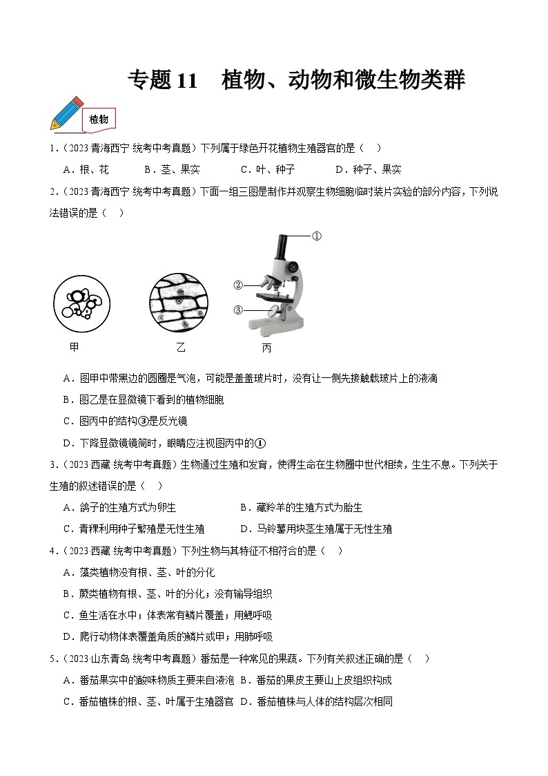 专题11 植物、动物和微生物类群-中考生物真题分项汇编（全国通用）（第03期）01