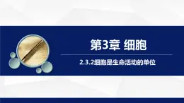 2.3.2++细胞是生命活动的单位++课件-2023-2024学年北师大版生物七年级上册