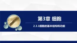 2.3.1++细胞的基本结构和功能（第1课时）课件-2023-2024学年北师大版生物七年级上册