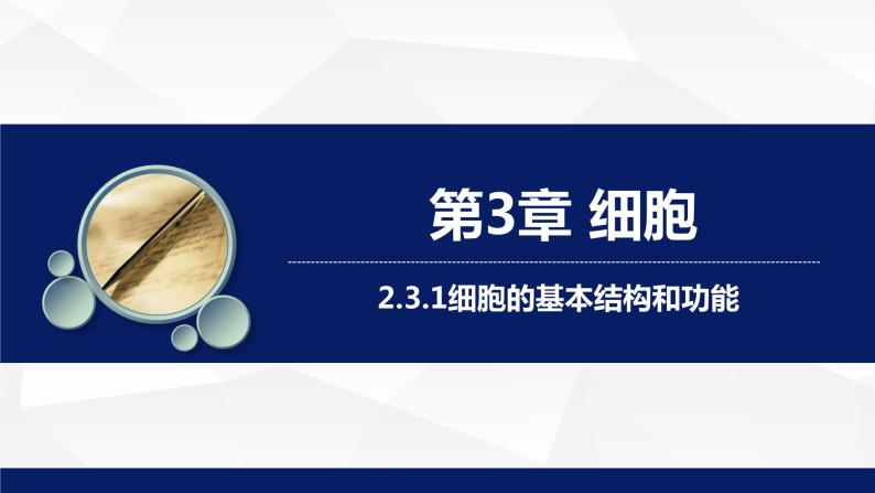 2.3.1++细胞的基本结构和功能（第1课时）课件-2023-2024学年北师大版生物七年级上册01