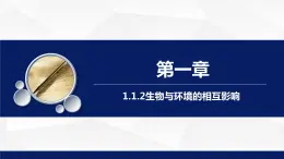 1.1.2++生物与环境的相互影响（第一课时）课件-2023-2024学年北师大版生物七年级上册