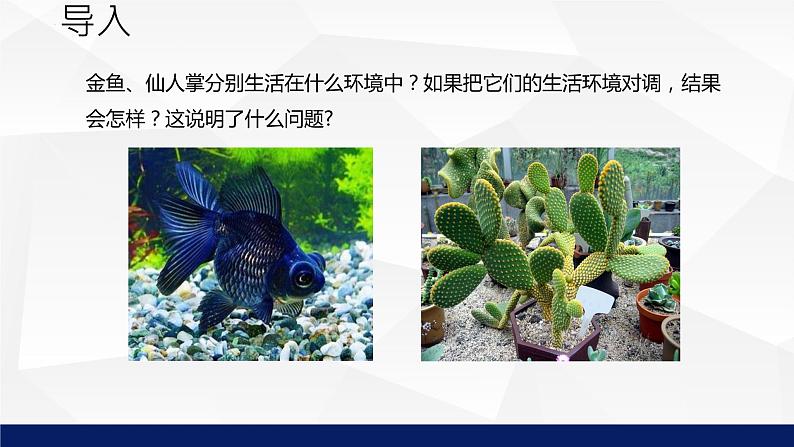 1.1.2++生物与环境的相互影响(第一课时)课件-2023-2024学年北师大版生物七年级上册第5页