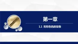 1.1.1++形形色色的生物（第二课时）课件-2023-2024学年北师大版生物七年级上册