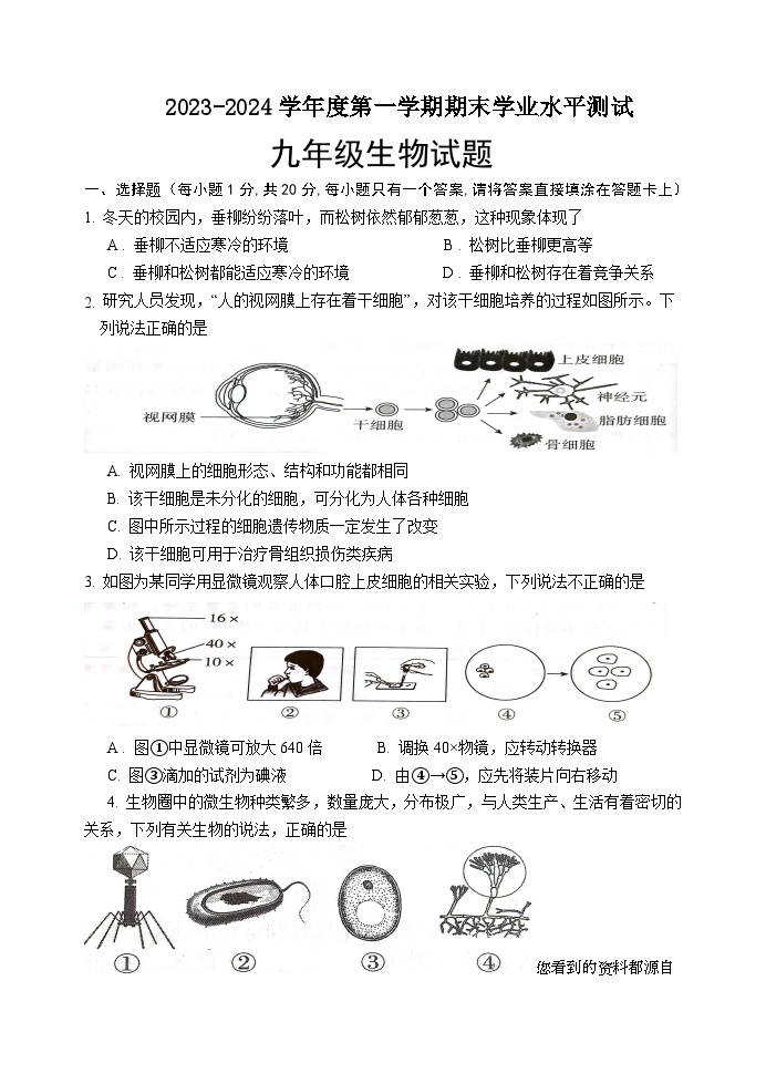 山东省菏泽市巨野县2023-2024学年九年级上学期期末考试生物试题