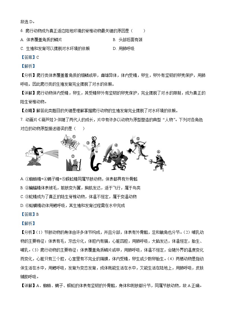 山东省枣庄市薛城区五校联考2023-2024学年七年级上学期第二次月考生物试题03