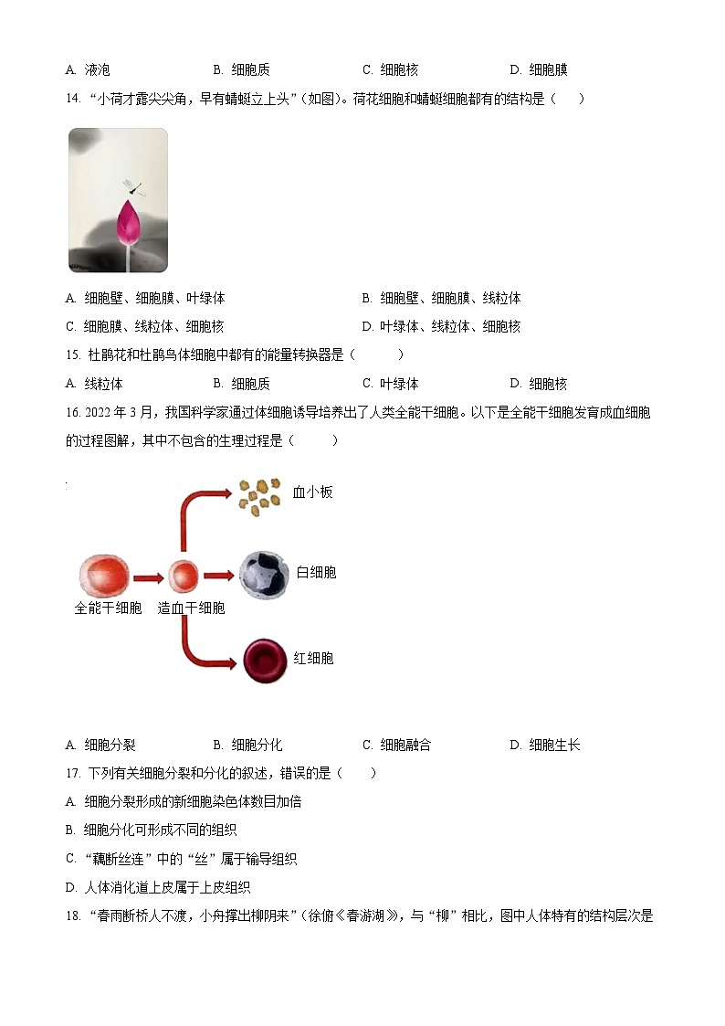 精品解析:河南省鹤壁市部分学校联考2023-2024学年七年级上学期期中生物试题(原卷版)第3页