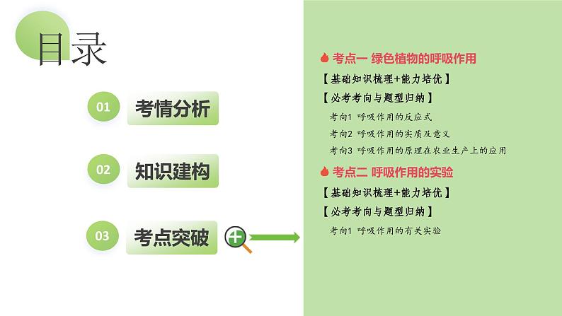 专题08 绿色植物的呼吸作用(课件) -2024年中考生物一轮复习课件+练习+测试(全国通用)第4页