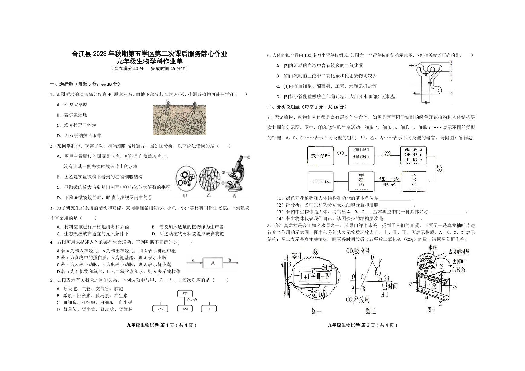 四川省泸州市合江县第五片区2023-2024学年九年级上学期第二次月考生物试题