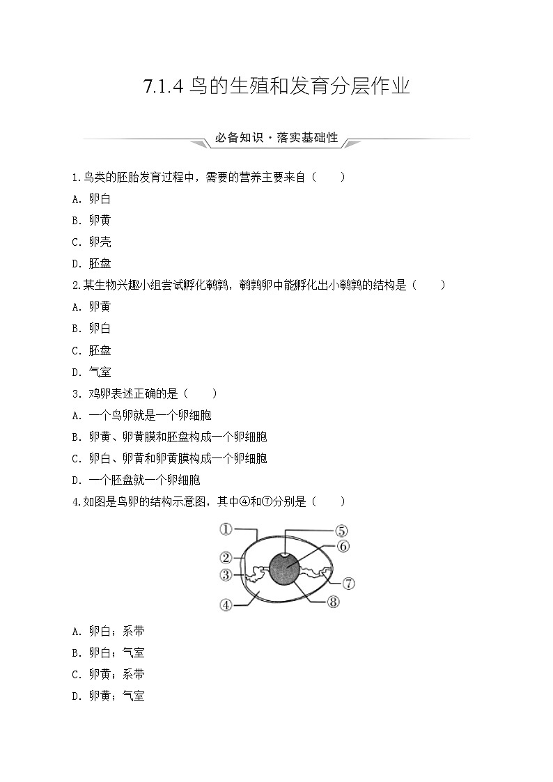 人教版八年級下冊生物同步練習(xí) 7.1.4 鳥的生殖和發(fā)育（分層作業(yè)）（原卷版+解析）第1頁