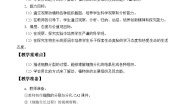 初中生物济南版七年级上册第一单元 奇妙的生命现象第二章  观察生物结构第二节 细胞的分裂与分化教案及反思