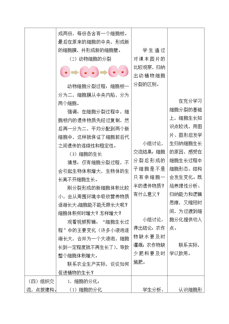 济南版生物七年级上册 第一单元第二章第二节细胞的分裂与分化_教案03