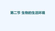初中生物济南版七年级上册第二节 生物的生活环境教案配套课件ppt