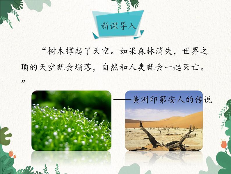 济南版生物七年级上册 第二单元第一章第五节绿色植物在生物圈中的作用课件第2页