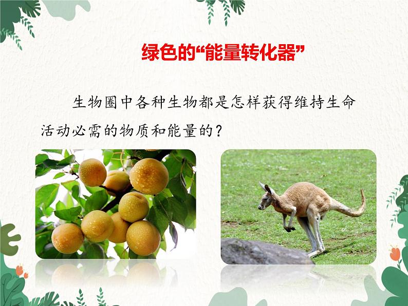 济南版生物七年级上册 第二单元第一章第五节绿色植物在生物圈中的作用课件第4页