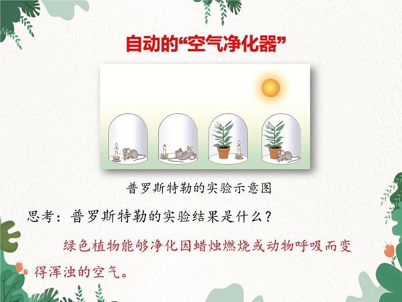 济南版生物七年级上册 第二单元第一章第五节绿色植物在生物圈中的作用课件第6页