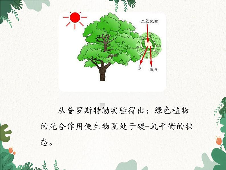 济南版生物七年级上册 第二单元第一章第五节绿色植物在生物圈中的作用课件第7页