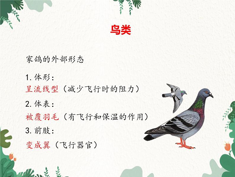 济南版生物七年级上册 第二单元第二章第二课时第二节脊椎动物的主要类群课件第4页