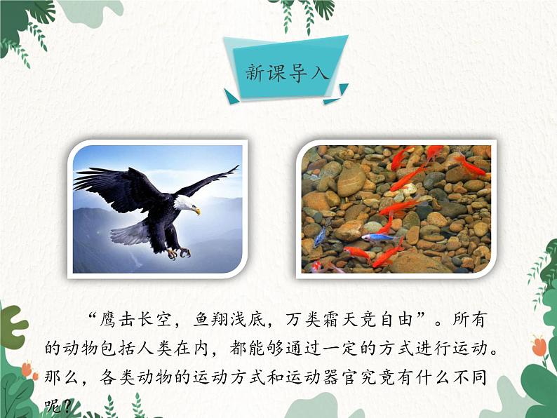 济南版生物七年级上册 第二单元第二章第三节动物的运动课件02