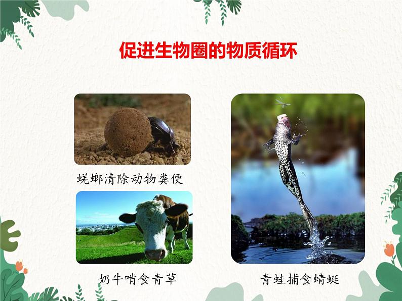 济南版生物七年级上册 第二单元第二章第五节动物在生物圈中的作用课件第8页