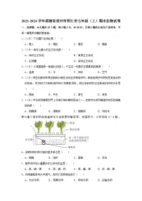 2023-2024学年福建省泉州市晋江市七年级（上）期末生物试卷