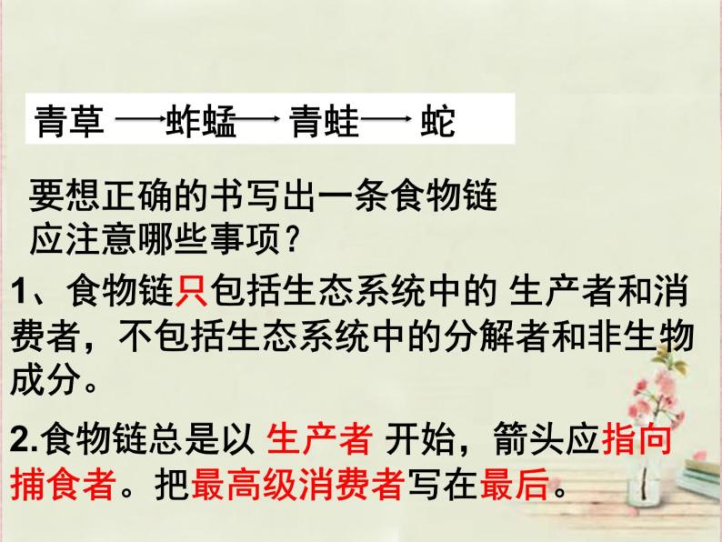 6.2.2++食物链和食物网++课件-2023-2024学年济南版生物八年级下册08