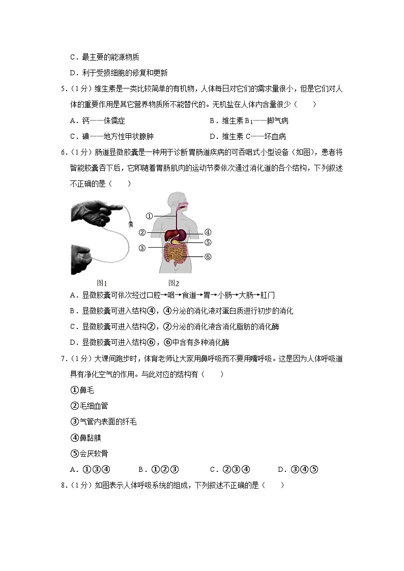 31,河南省郑州市高新区郑州东枫外国语学校、枫杨外国语学校2022-2023学年七年级下学期月考生物试卷(6月份)第2页