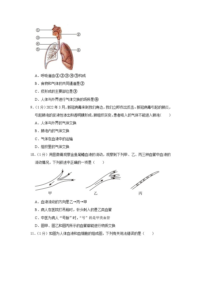 31,河南省郑州市高新区郑州东枫外国语学校、枫杨外国语学校2022-2023学年七年级下学期月考生物试卷(6月份)第3页