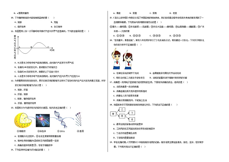 2024年初三中考第一次模拟考试试题:生物(河南卷)(考试版A3)02