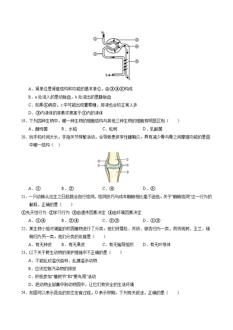 2024年初三中考第一次模拟考试试题:生物(南京卷)(考试版A4)第3页