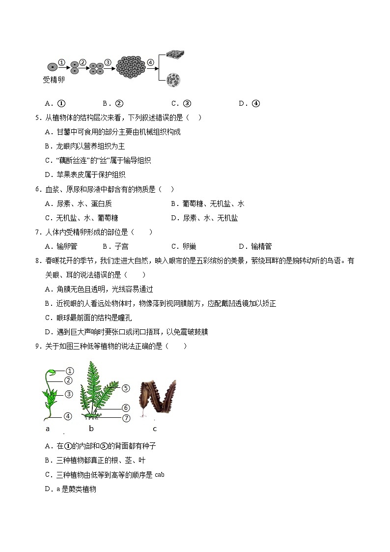 2024年初三中考第一次模拟考试试题:生物(河南卷)(考试版A4)第2页