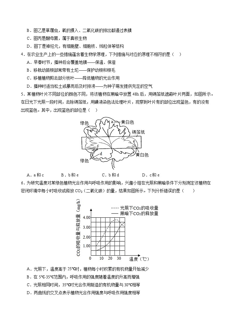 2024年初三中考第一次模拟考试试题:生物(南通卷)(考试版A4)第2页