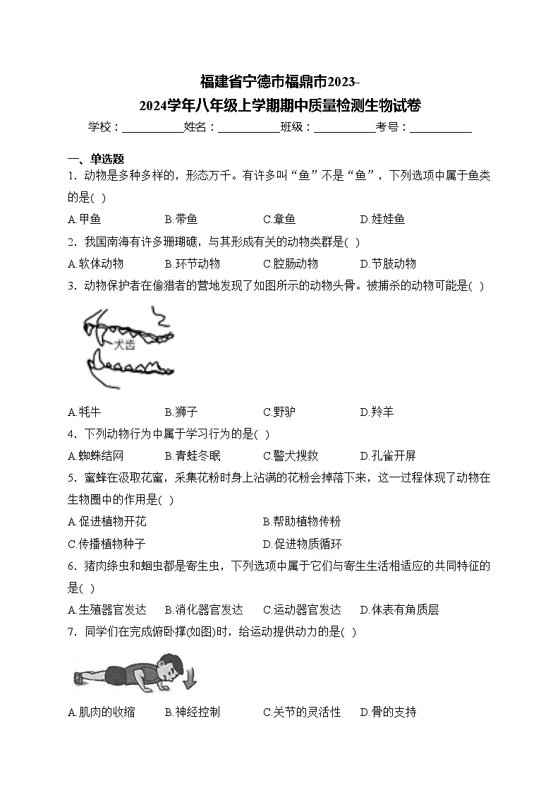 福建省宁德市福鼎市2023-2024学年八年级上学期期中质量检测生物试卷(含答案)第1页