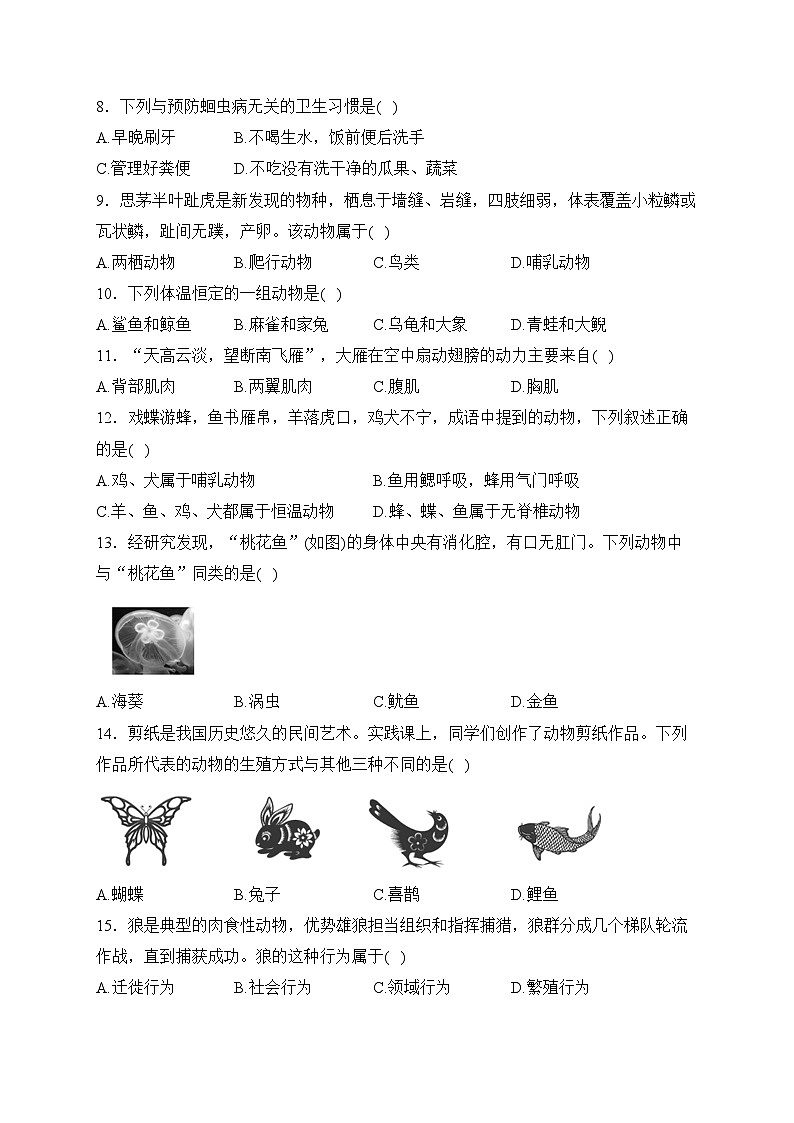 福建省宁德市福鼎市2023-2024学年八年级上学期期中质量检测生物试卷(含答案)第2页