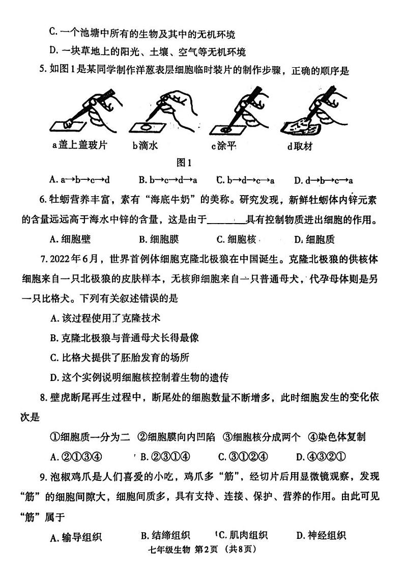 河南省郑州市经开区2023-2024学年七年级上学期期末考试生物试题第2页